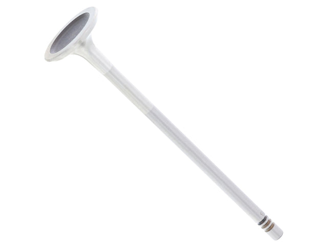 TRW Exhaust Valve - 539033