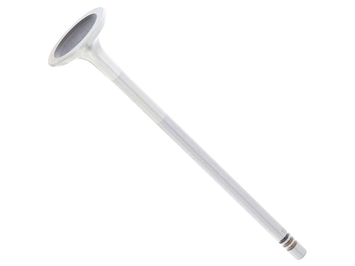 TRW Exhaust Valve - 539033