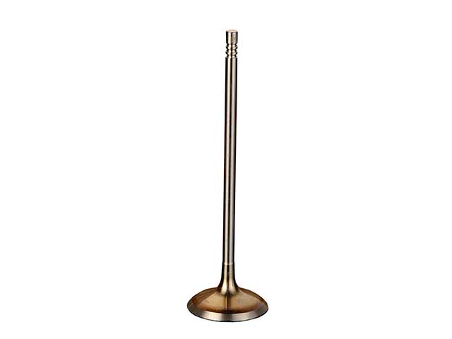 INTERVALVES Intake Valve - 3684.002