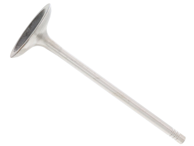 TRW Intake Valve - 111219