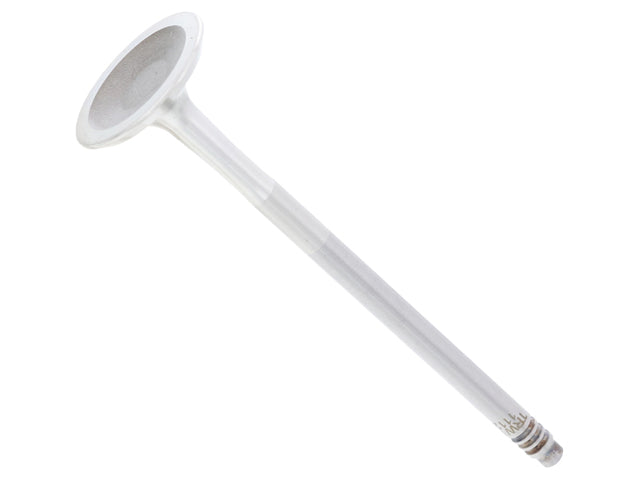 TRW Exhaust Valve - 111220