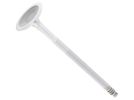 TRW Exhaust Valve - 111220
