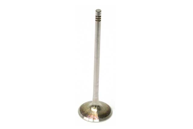 TRW Intake Valve - 111222