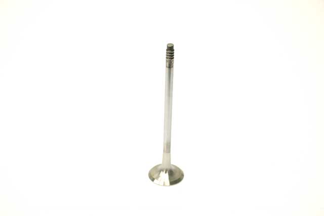 TRW Exhaust Valve - 111214