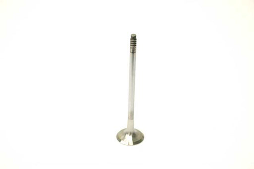 TRW Exhaust Valve - 111214