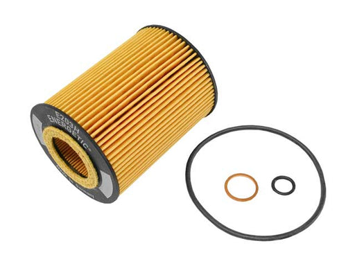 HENGST Oil Filter Kit - E203H D67
