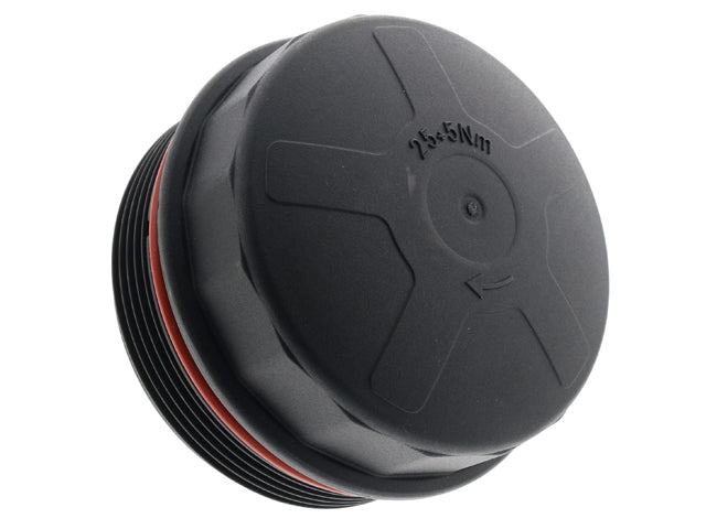 REIN AUTOMOTIVE Cover Cap - CPL0054