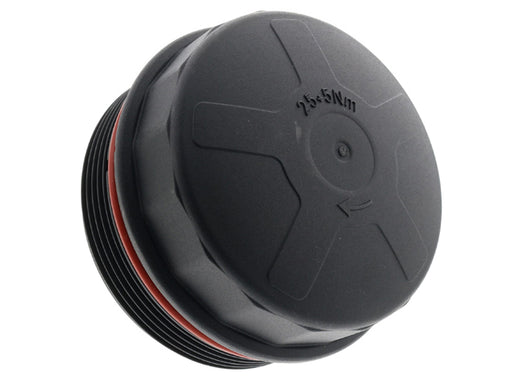 REIN AUTOMOTIVE Cover Cap - CPL0054