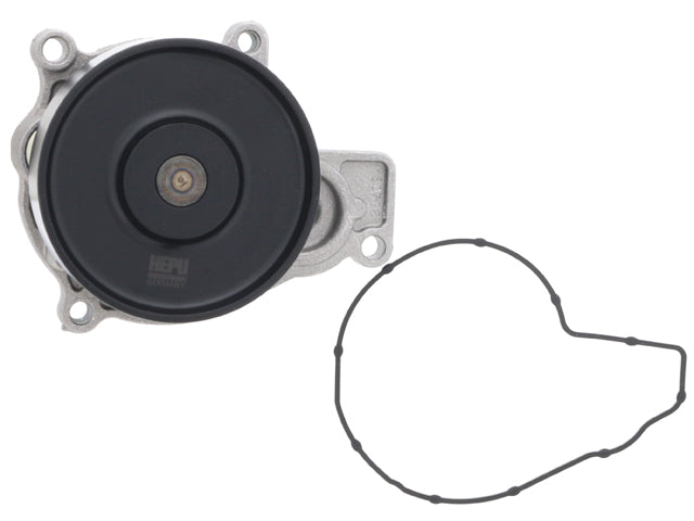 Hepu Water Pump P436