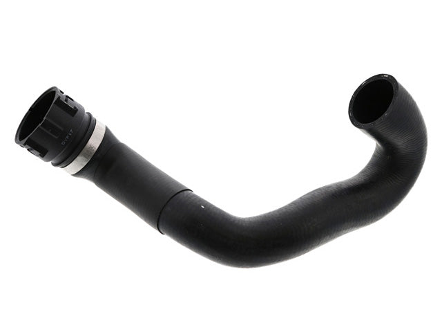 REIN AUTOMOTIVE Water Hose - CHE0579