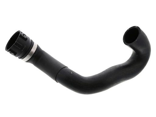 REIN AUTOMOTIVE Water Hose - CHE0579