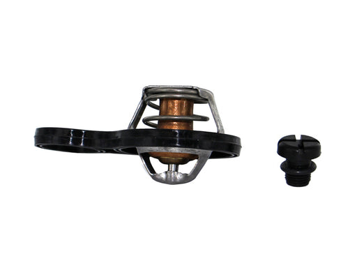 REIN AUTOMOTIVE Thermostat - CTZ0043