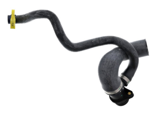 REIN AUTOMOTIVE Water Hose - CHE0612