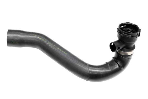 REIN AUTOMOTIVE Radiator Hose - CHR0376R
