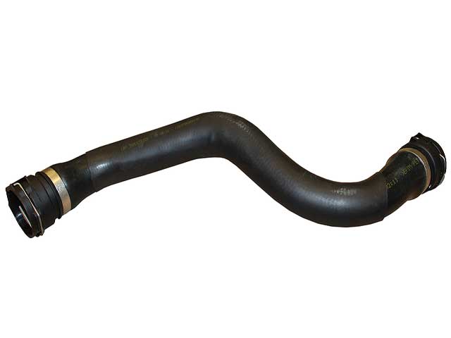 REIN AUTOMOTIVE Radiator Hose - CHR0491