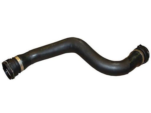 REIN AUTOMOTIVE Radiator Hose - CHR0491