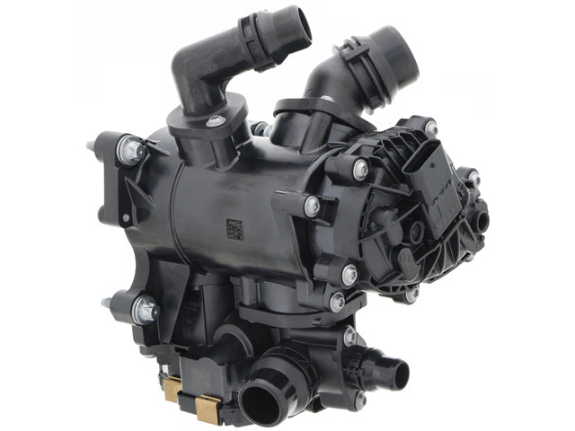 Ina Thermostat Assembly 5380810100