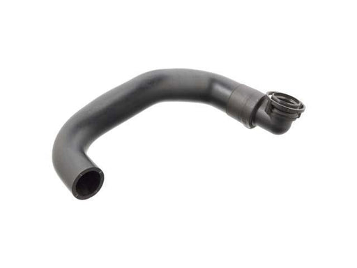 FEBI BILSTEIN Air Injection Hose - 102797