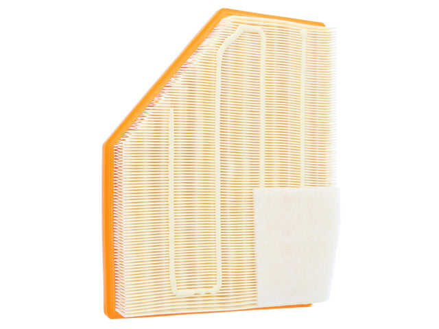 GENUINE BMW Air Filter - 13-71-5-A05-DA1