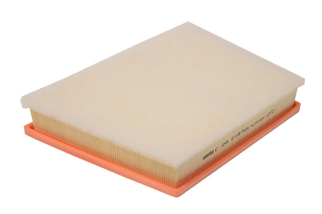 MANN FILTER Air Filter - C 22 018