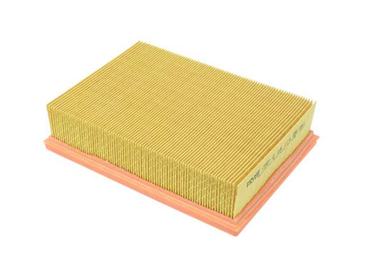 MANN FILTER Air Filter - C 25 114