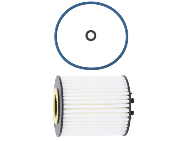 HENGST Oil Filter Kit - E166H D538