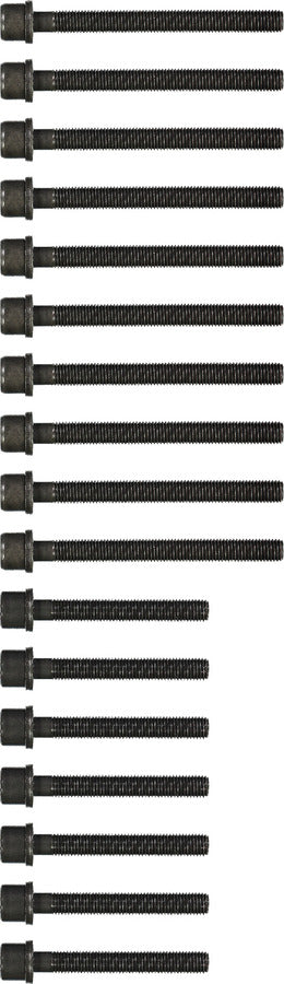Victor Reinz Cylinder Head Bolt Set 14 32174 02