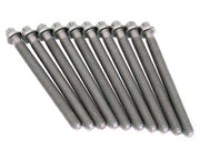 VICTOR REINZ Cylinder Head Bolt Set - 14-32005-01