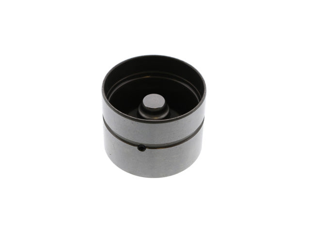 INA Hydraulic Valve Lifter - 4200217100