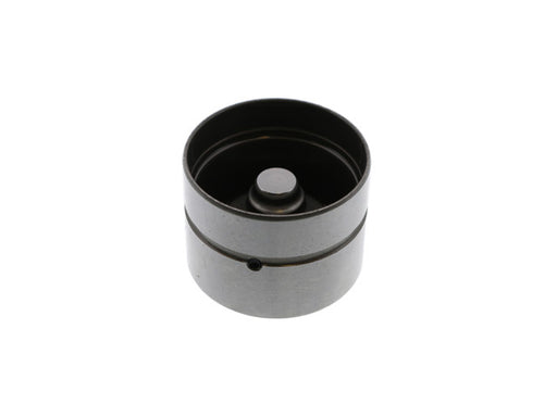 INA Hydraulic Valve Lifter - 4200217100
