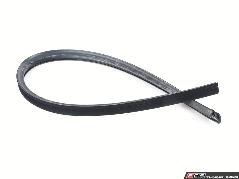 Outer door Window Sealing Strip - Left