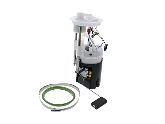 DELPHI Fuel Pump Assembly - FG1689