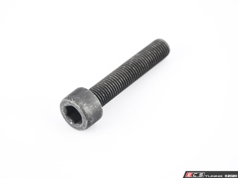 Caliper Mounting Bolt - Priced Each