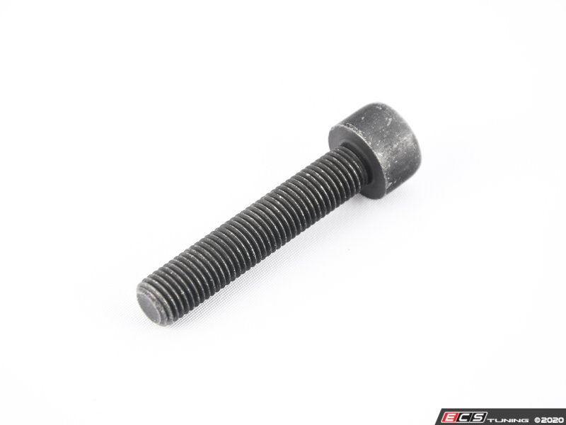 Caliper Mounting Bolt - Priced Each