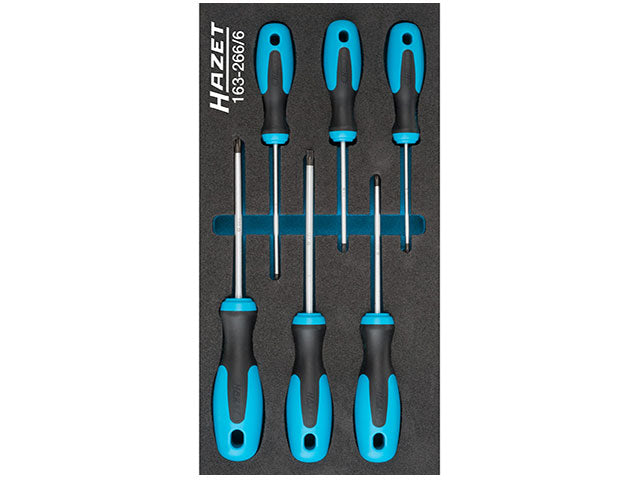 HAZET Screwdriver Set - 163-266/6