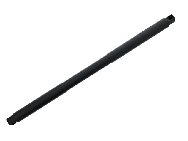 GENUINE MERCEDES Hatch Shock - A1669803664