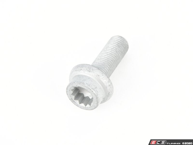 Caliper Mounting Bolt - Priced Each