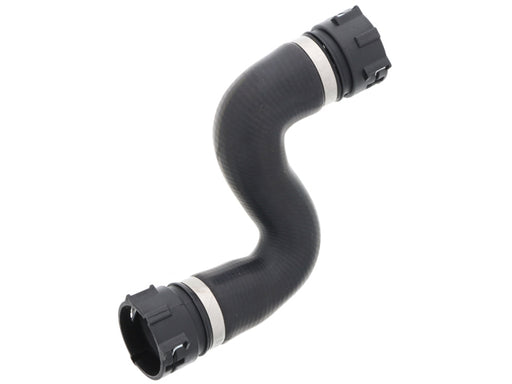 REIN AUTOMOTIVE Radiator Hose - CHR0187