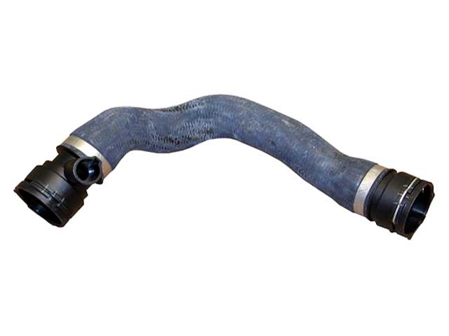 REIN AUTOMOTIVE Radiator Hose - CHR0373R