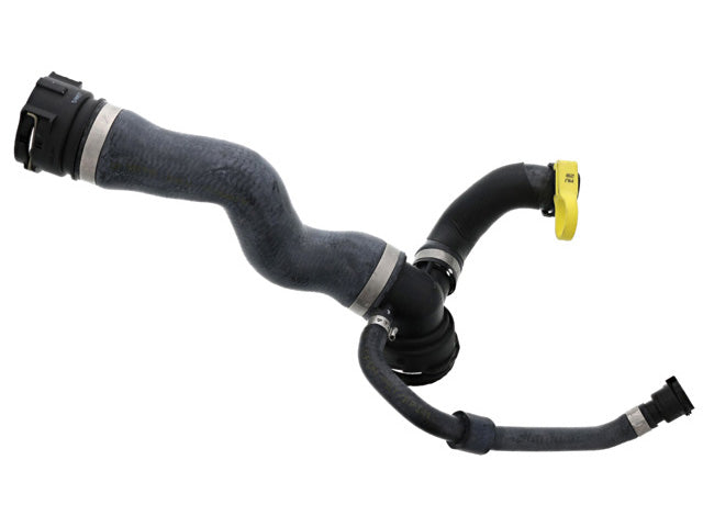REIN AUTOMOTIVE Radiator Hose - CHR0604
