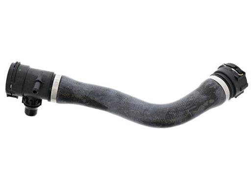REIN AUTOMOTIVE Radiator Hose - CHR0590