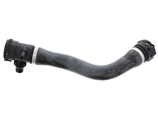 REIN AUTOMOTIVE Radiator Hose - CHR0590