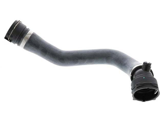 REIN AUTOMOTIVE Radiator Hose - CHR0584