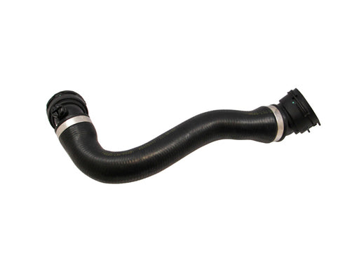 REIN AUTOMOTIVE Radiator Hose - CHR0598