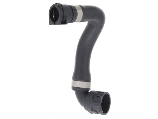 REIN AUTOMOTIVE Water Hose - CHE0848