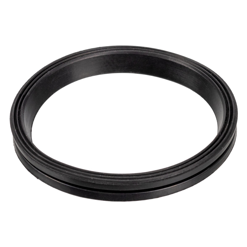 Febi Bilstein Timing Chain Case Gasket 171859