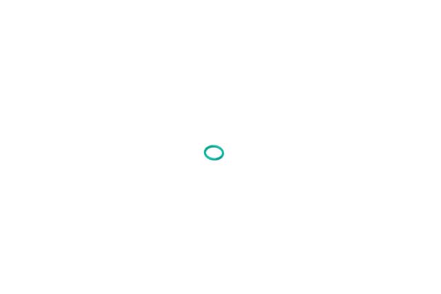 GENUINE BMW O-Ring - 17-22-7-581-147