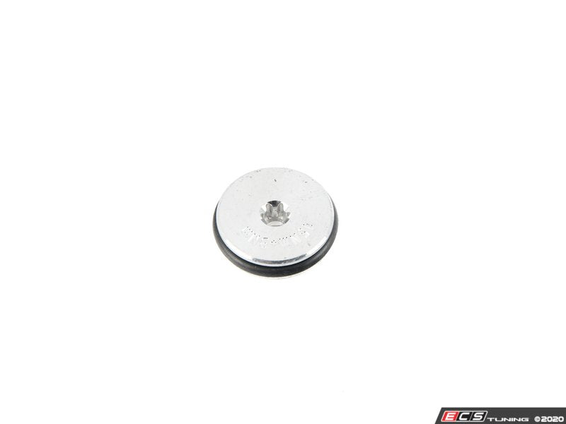 Drain Plug With Sealing Ring