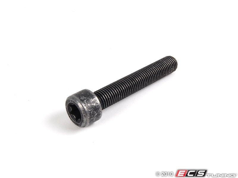 Caliper Mounting Bolt - Priced Each