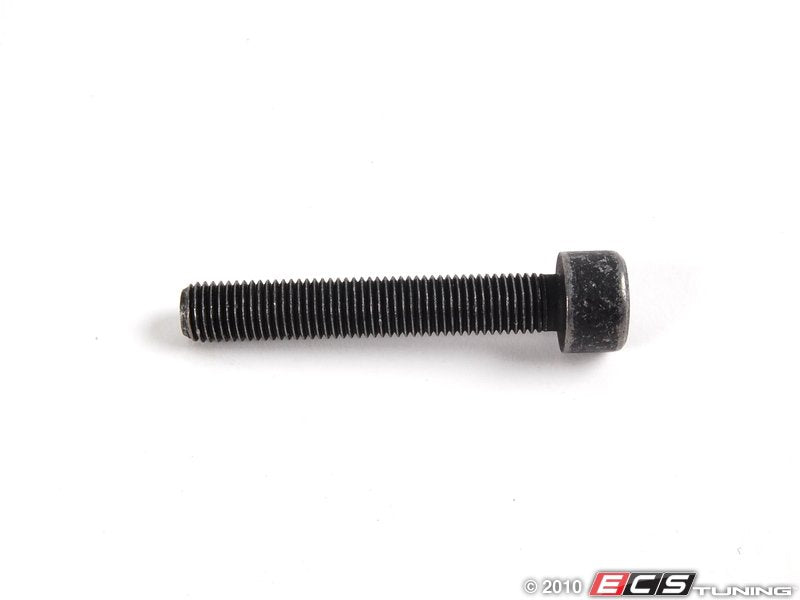 Caliper Mounting Bolt - Priced Each